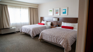 The Crimson - Guest Room